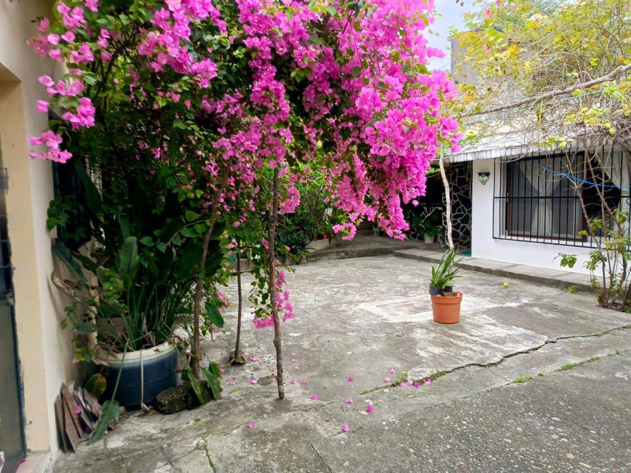 Posada Familiar Papantla Ngoại thất bức ảnh